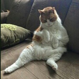 Meet your Posher, Deborah